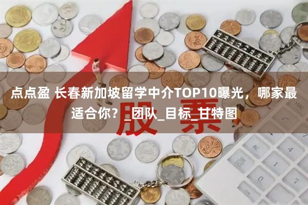 点点盈 长春新加坡留学中介TOP10曝光，哪家最适合你？_团队_目标_甘特图