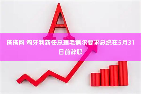 搭搭网 匈牙利新任总理毛焦尔要求总统在5月31日前辞职