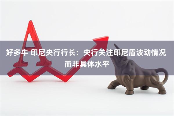 好多牛 印尼央行行长：央行关注印尼盾波动情况 而非具体水平